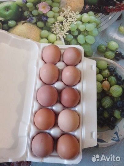 Яйцо домашнее куриное