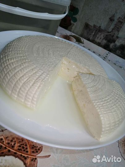 Творог, сыр, молоко, сметана, масло