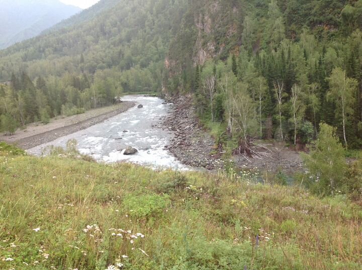 Участок 3 га (СНТ, ДНП)