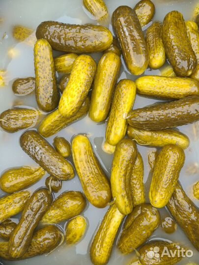 Огурцы соленые бочковые