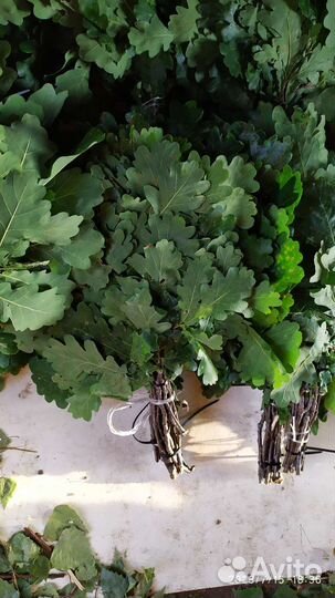 Веники березовые и дубовые для бани