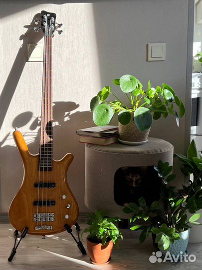 Warwick Corvette std