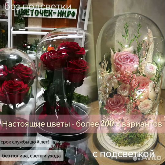 Цветы, Букеты, розы, пионы в, колбе, спб4, от