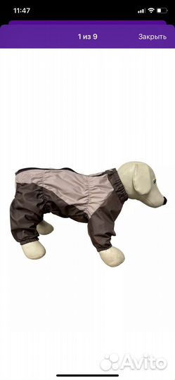 Дождевик для средней собаки