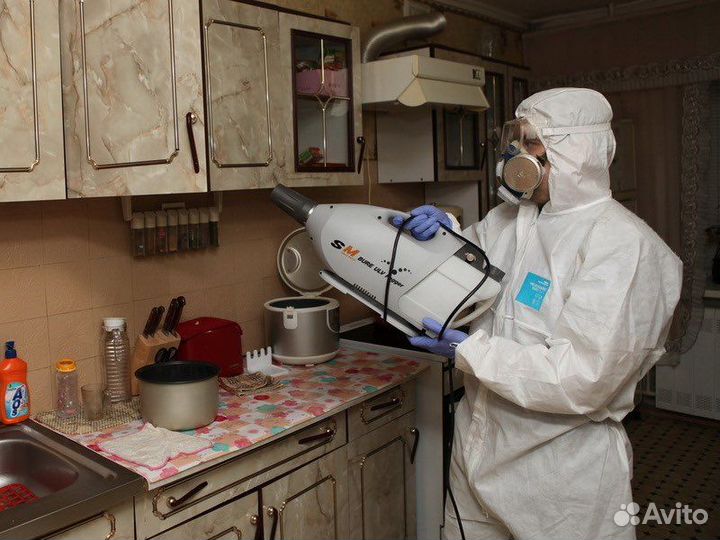 Дезинфекция уничтожение клопов тараканов муравьёв