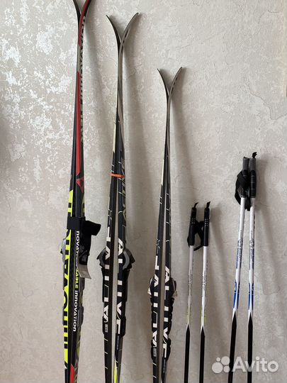 Беговые лыжи