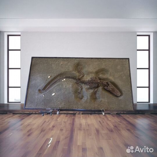 Окаменелость ископаемый скелет аллигатора