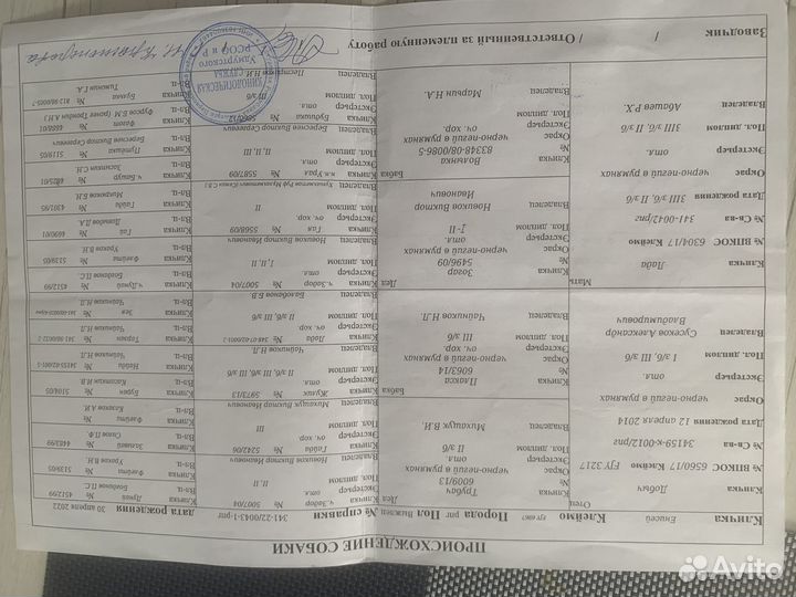 Русская пегая гончая