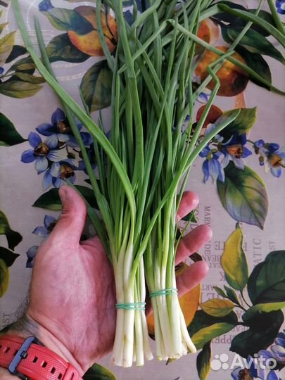 Доставка овощей и фруктов