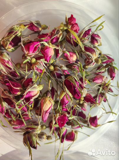 Цветы сухоцветы