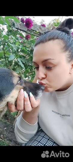 Индивидуальная домашняя передержка в частном доме