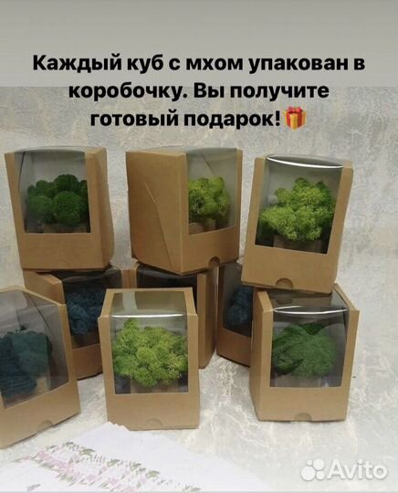 Мох в кубе из сосны (8х8х8)