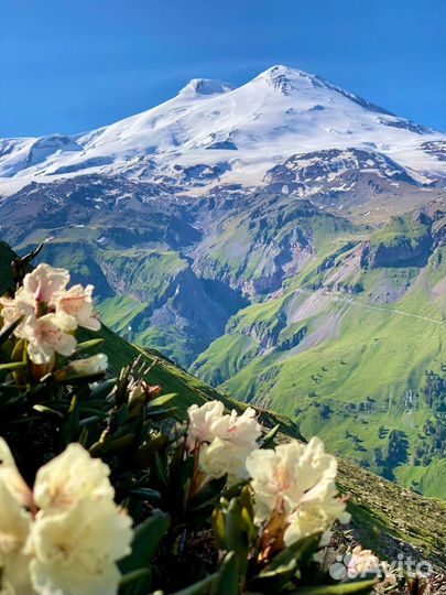 Автобусные и индивидуальные экскурсии