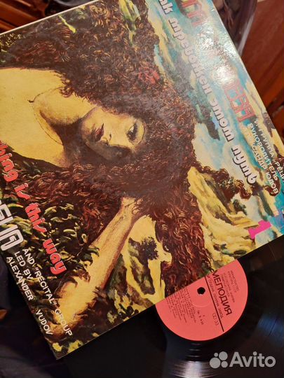 Виниловые пластинки Высоцкого, Пугачева