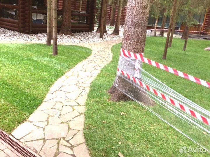 Рулонный газон