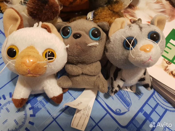 The cat collection