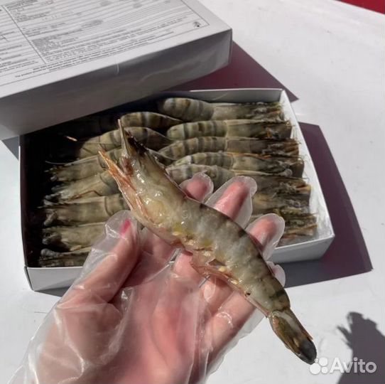 Тигровые креветки 13/15 целые