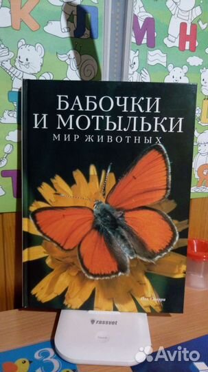 Мир животных. Белфакс