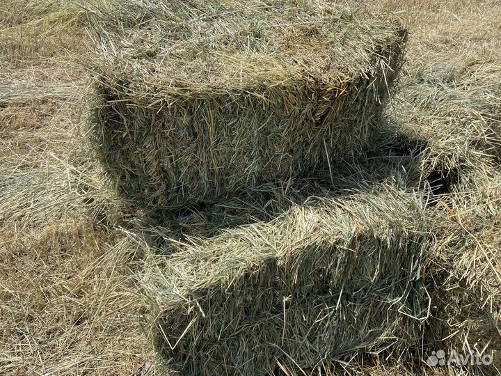 Сено луговое в тюках