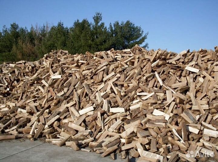Дрова лиственных пород