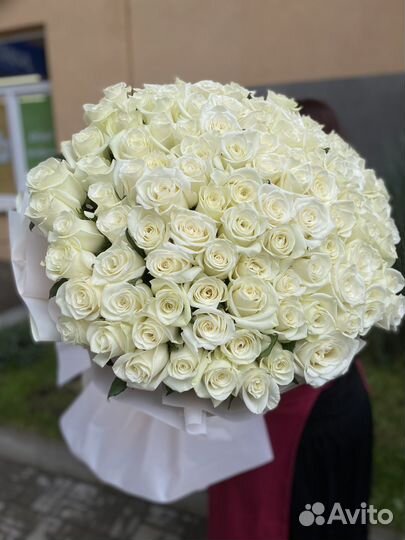 Розы доставка букет роз, розы опт 51 роза 101 роза