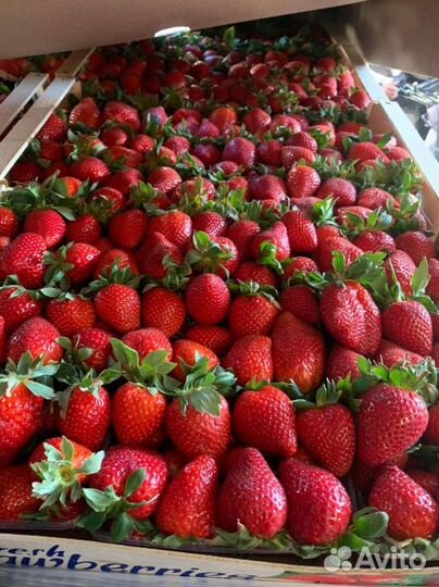 Клубника в шоколаде Букет 