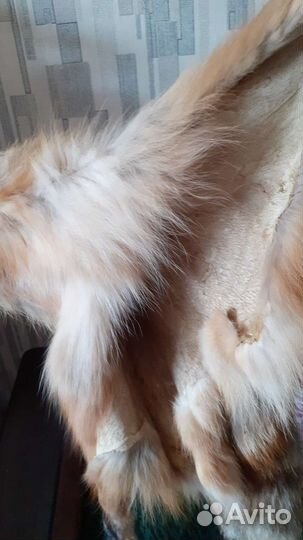 Шкура лисы