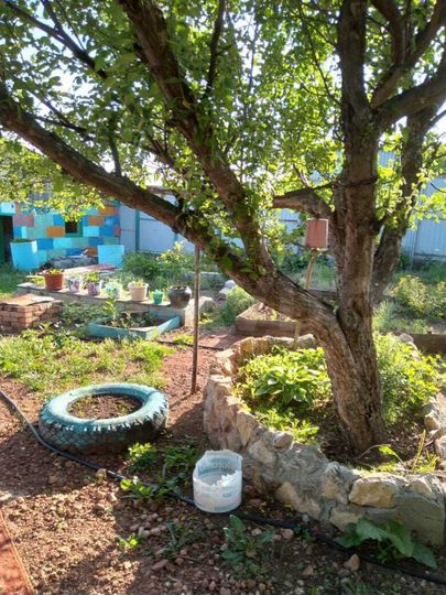 Дом 54,6 м² на участке 18,6 сот.