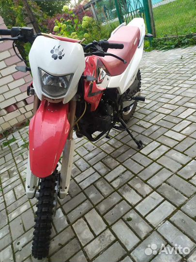 Irbis ttr250r
