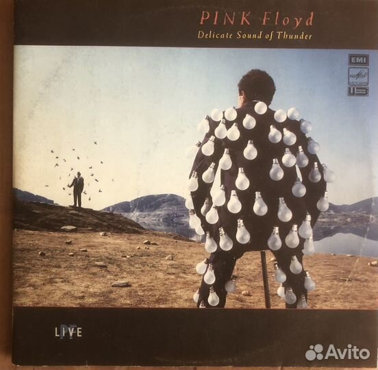 Pink floyd Delicate Sound Of Thunder