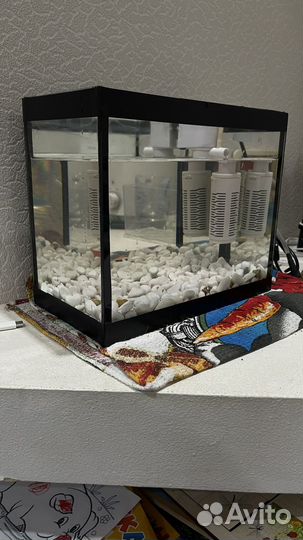 Аквариум