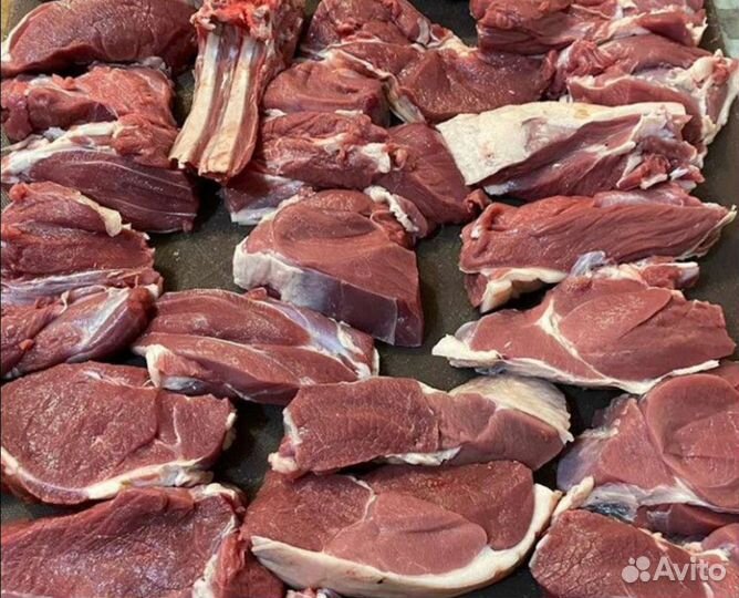 Мясо говядина халяль