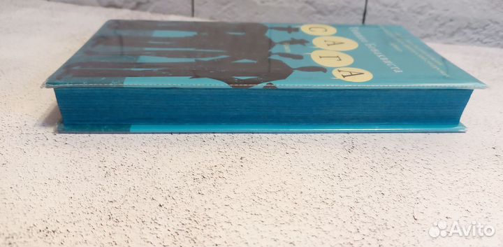 Тонино Бенаквиста 