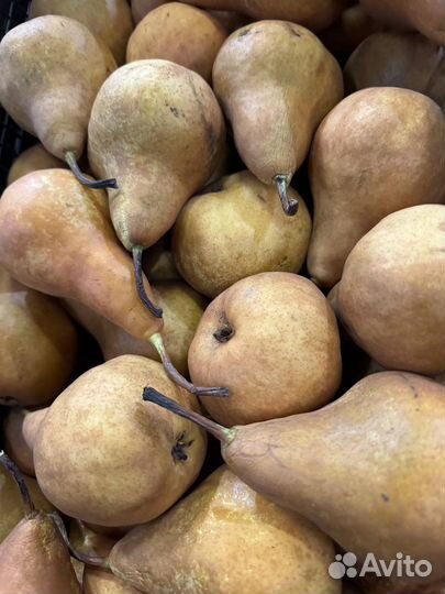 Груша свежая Бере Боск натуральная вкусная Грузия