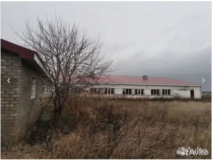 Животноводческая ферма