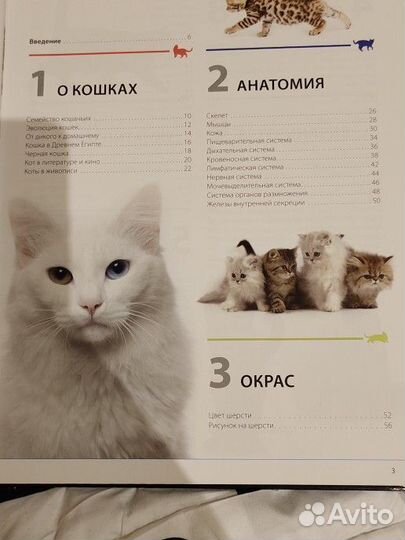 Энциклопедия про кошек
