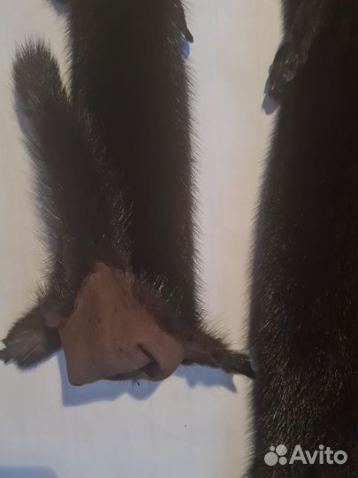 Шкурки меха норки