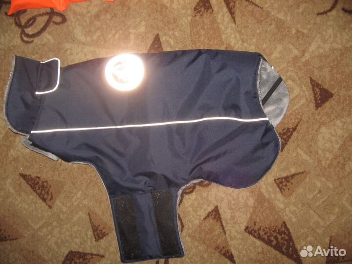 Товары для маленьких и больших собачек