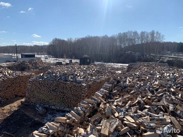 Дрова березовые колотые