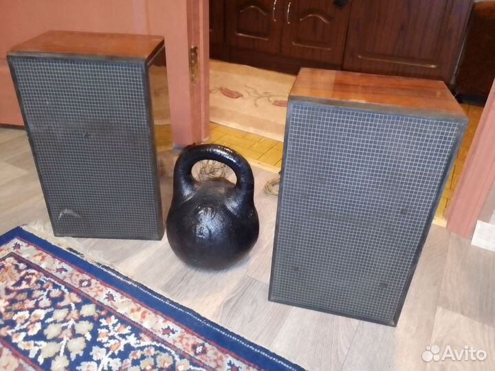 Акустическая система брз 15ас-4