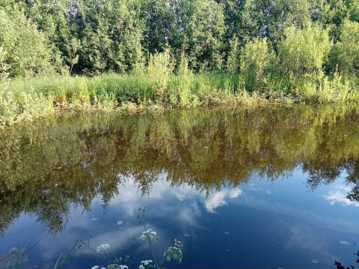Участок 25 сот. (ИЖС)