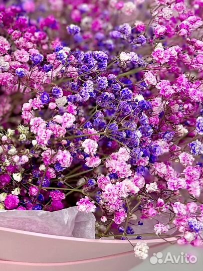 Гипсофила букет цветы