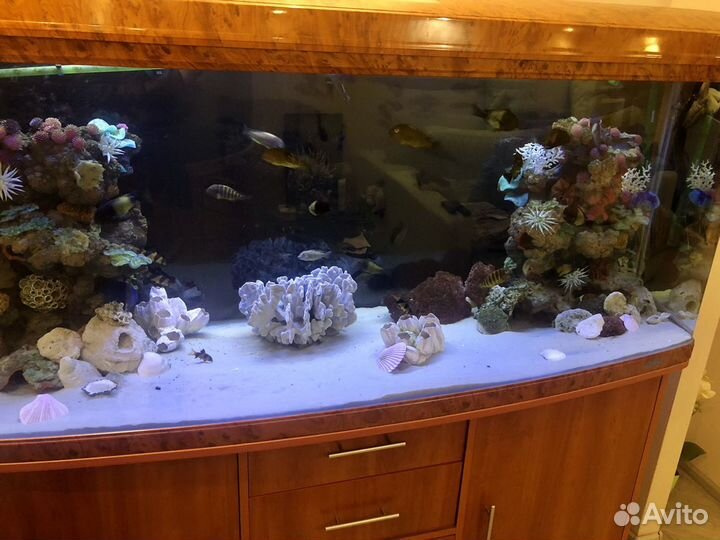 Аквариум с тумбой jebo