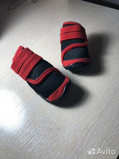 Обувь для собак мелких пород