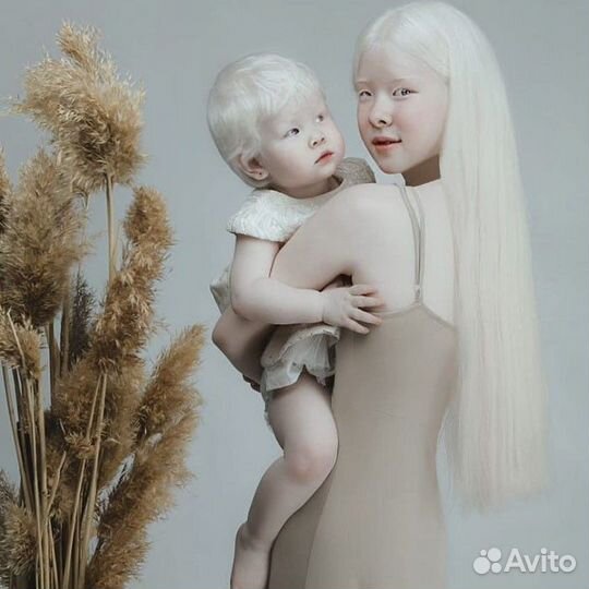 Скупка волос от 40 см