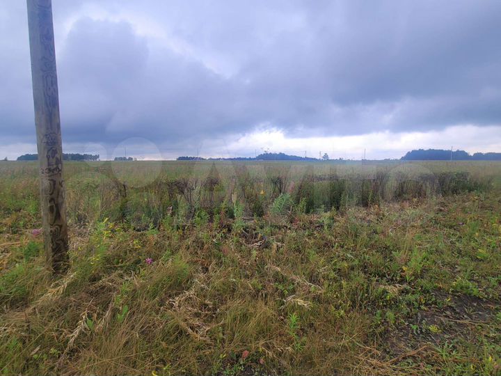 Участок 10 сот. (СНТ, ДНП)