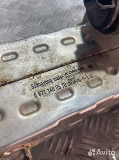 Радиатор масляный Ssangyong Actyon New CK D20T