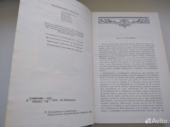 Лермонтов М.Ю. 2 тома