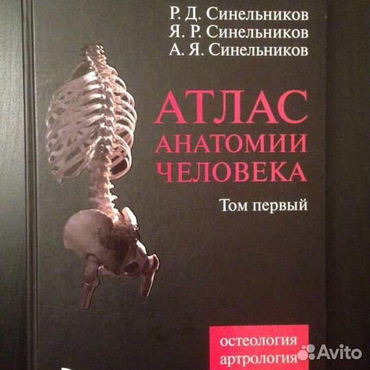 Атлас по анатомии