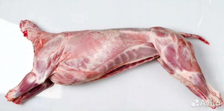 Продам мясо баранина